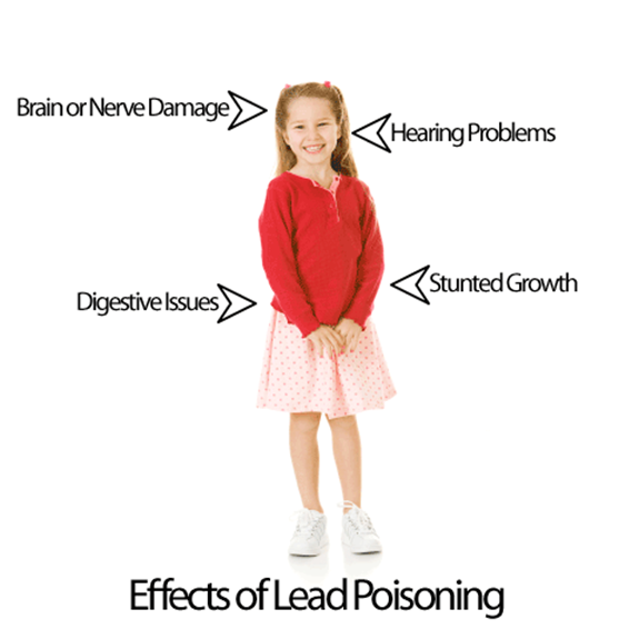 Health Effects Of Lead Poisoning Lewiston Auburn Lead Program